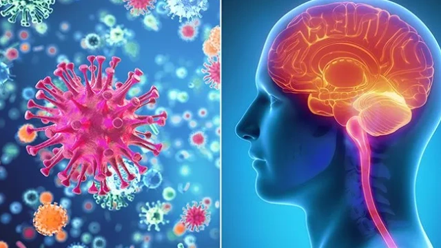 Sri Lanka-வில் தீவிரமடையும் Viral Meningitis: மாணவர்கள் அதிகம் பாதிப்பு - ஒரு சிறப்புப் பார்வை